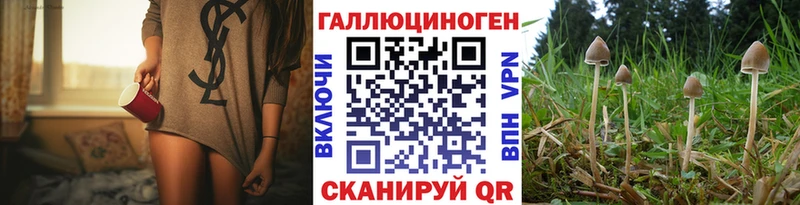 Галлюциногенные грибы Psilocybine cubensis  закладка  кракен зеркало  Борисоглебск 
